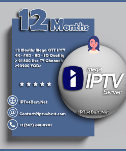 12 Months Mega Ott IPTV - IPTV Subscription