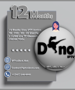 12 Monts Dino IPTV Subscription - Best IPTv Service