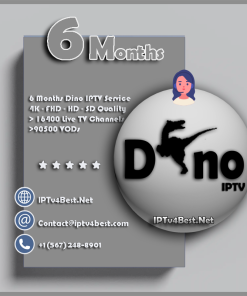 6 Monts Dino IPTV Subscription - Best IPTv Service