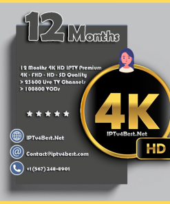 12 Months 4K HD Best IPTV Subscription